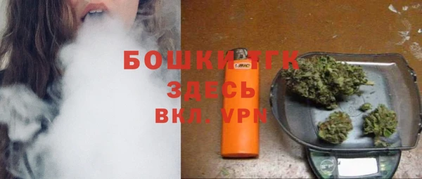ПСИЛОЦИБИНОВЫЕ ГРИБЫ Белоозёрский