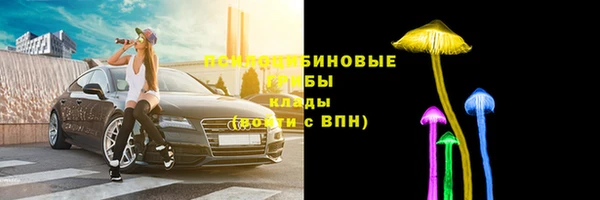 ПСИЛОЦИБИНОВЫЕ ГРИБЫ Белоозёрский