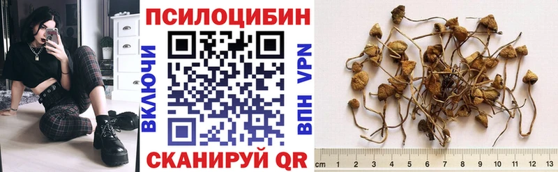 Галлюциногенные грибы ЛСД  hydra вход  Пестово  как найти наркотики 